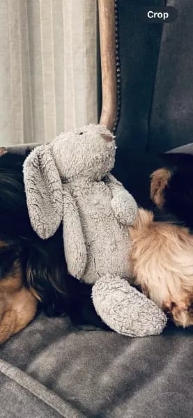 Lost — 16 Churchill Rd, London NW5 1AN, UK