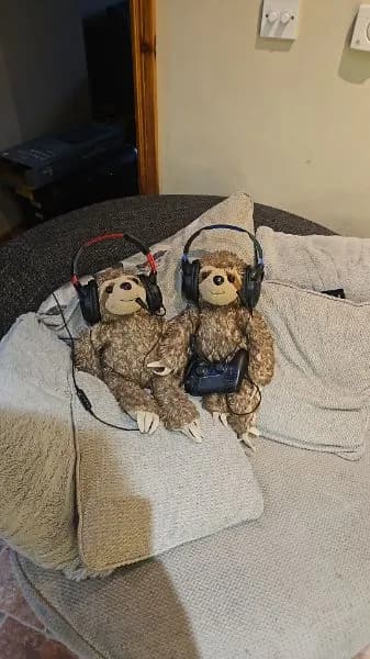 Lost — Belfast Int'l Airport (BFS), Airport Rd, Crumlin BT29 4AB, UK
