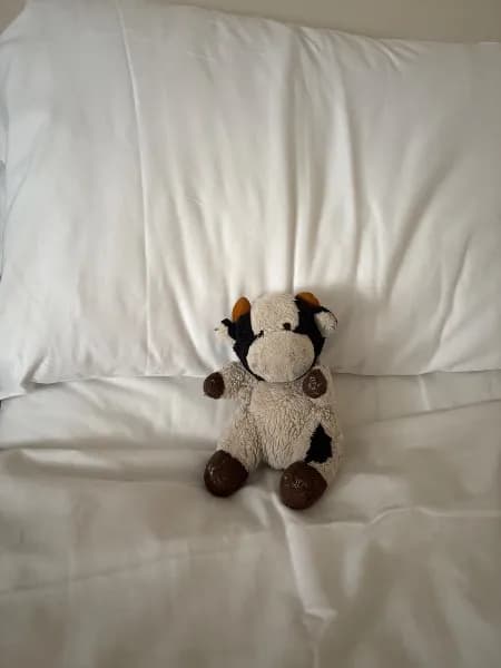 Lost — Queens House, 1 Leicester Square, London WC2H 7BP, UK
