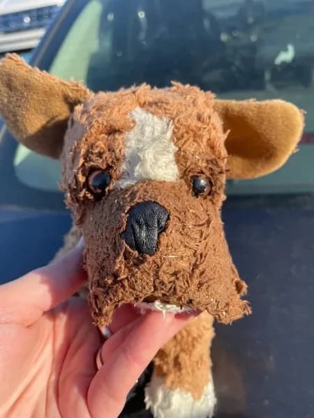 Found — 3728 Market St, St. Louis, MO 63110, USA