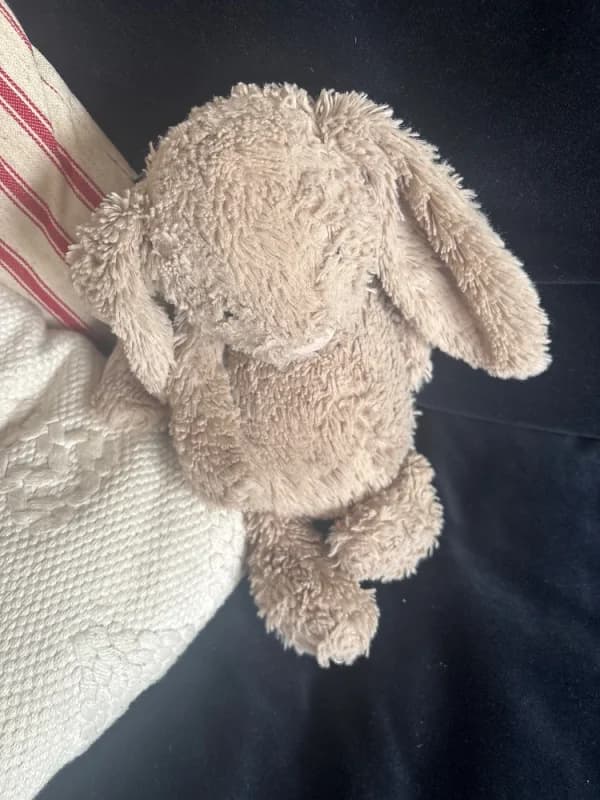 Lost — White Ln, Chapeltown, Sheffield S35 2YH, UK