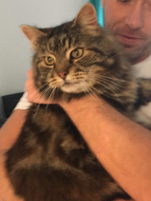 Lost — Thames view estate Barking