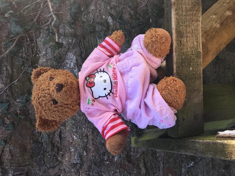 Found — Easby Abbey