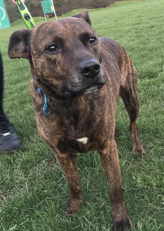 Lost — Mk451hg
