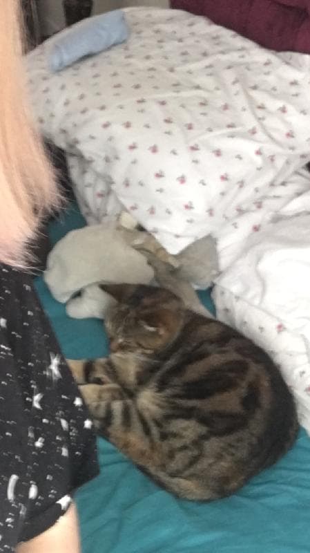 Lost — Whittlebury hall Towchester