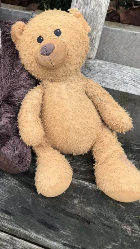 Lost — Outside Lemon Plaice Andover Hampshire