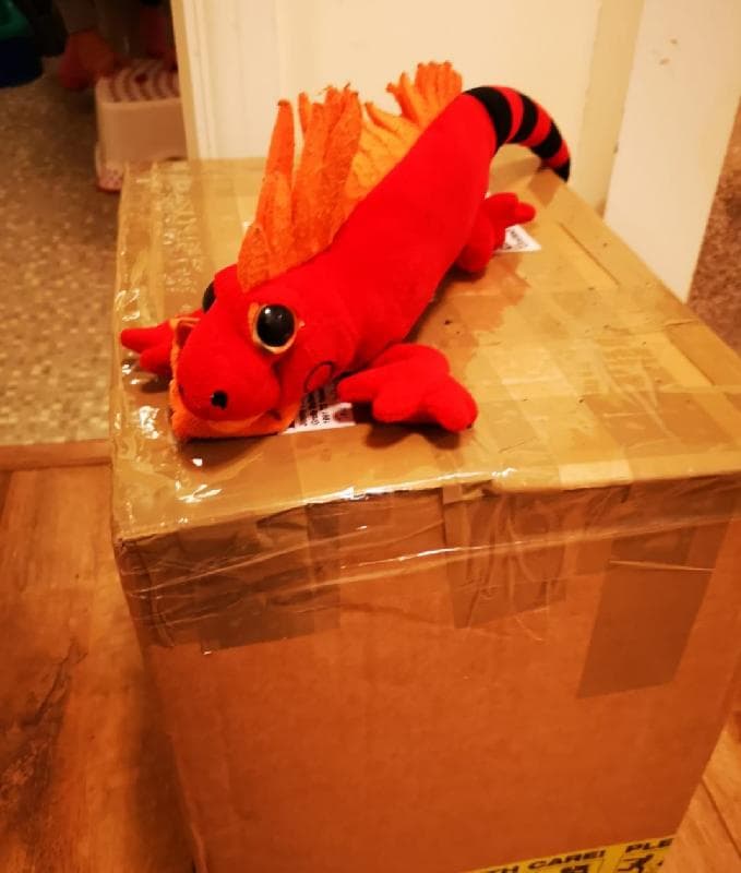 Lost — Grantham uk