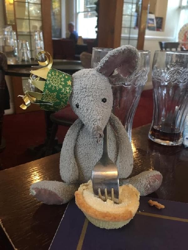 Lost — Fulham Putney Area London Sw15
