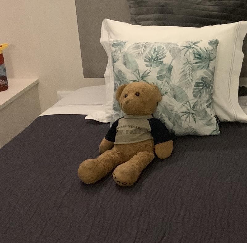 Lost — Legoland hotel Windsor