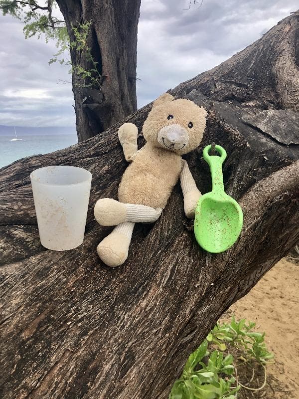 Found — North Kaanapali Beach, Maui, HI