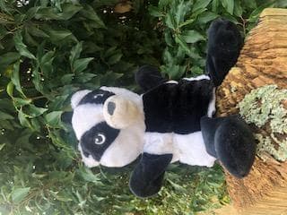 Found — The Street Bury West Sussex