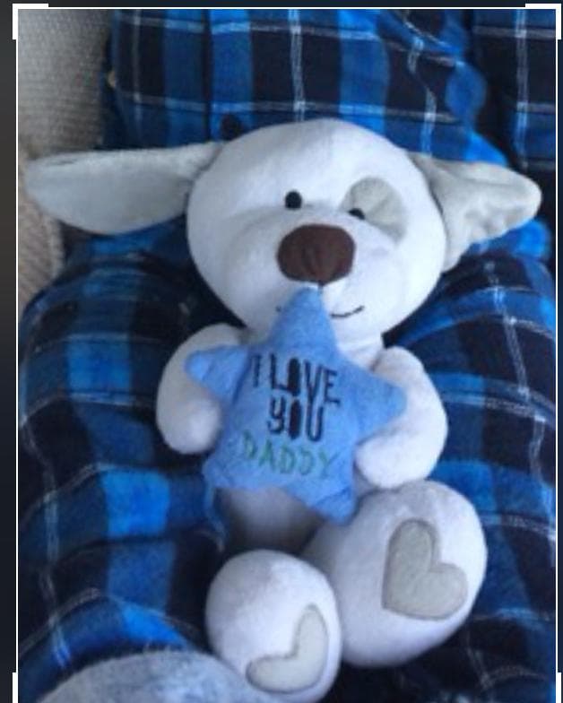Lost — Cheltenham Uk
