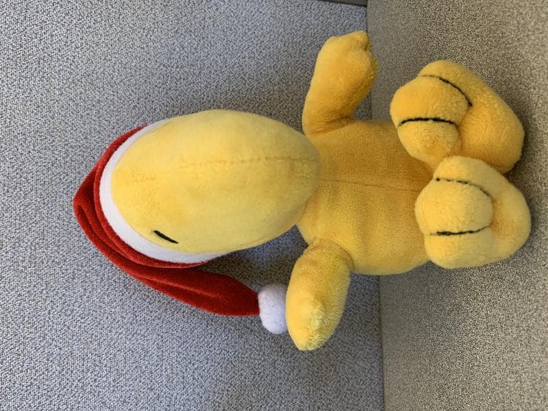 Found — Boca raton, fl