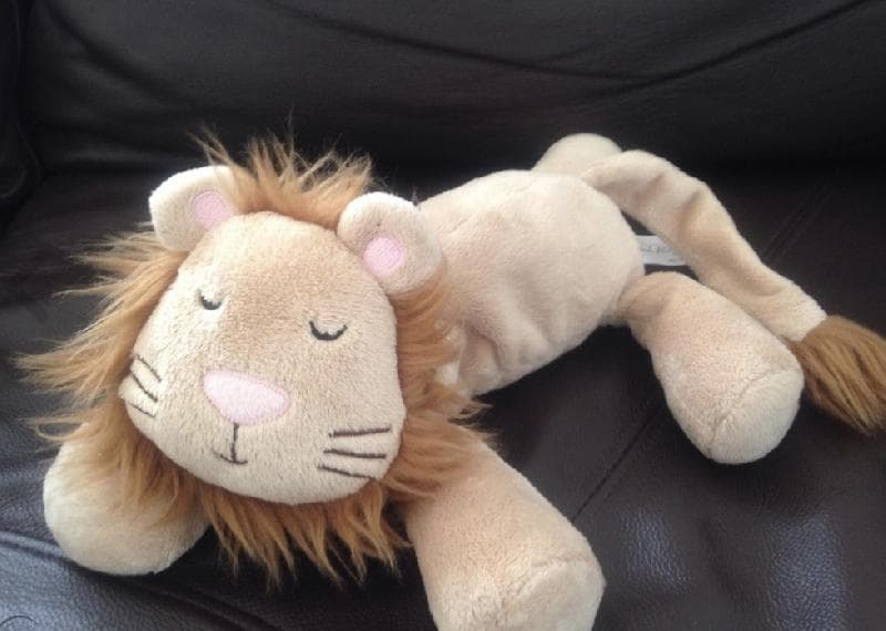 Lost — Southhampton Children’s Hospital