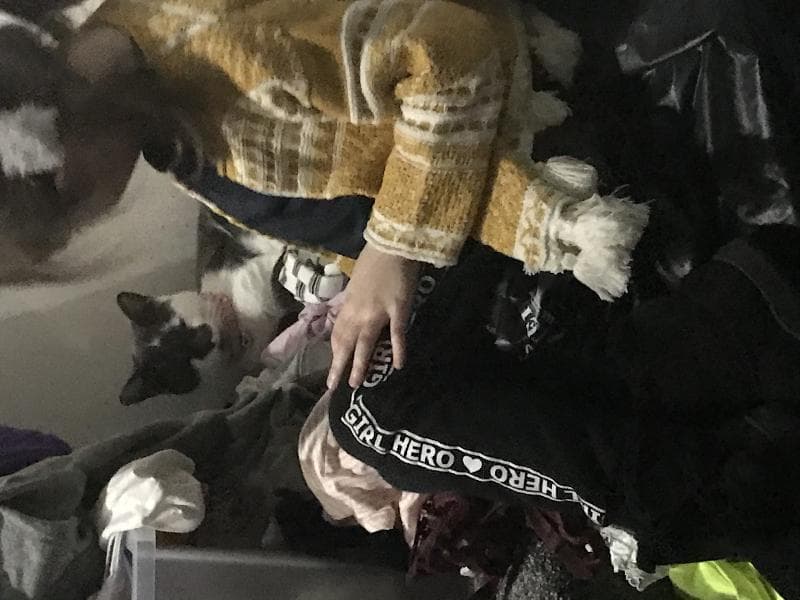 Lost — Hillside crestant Ml5