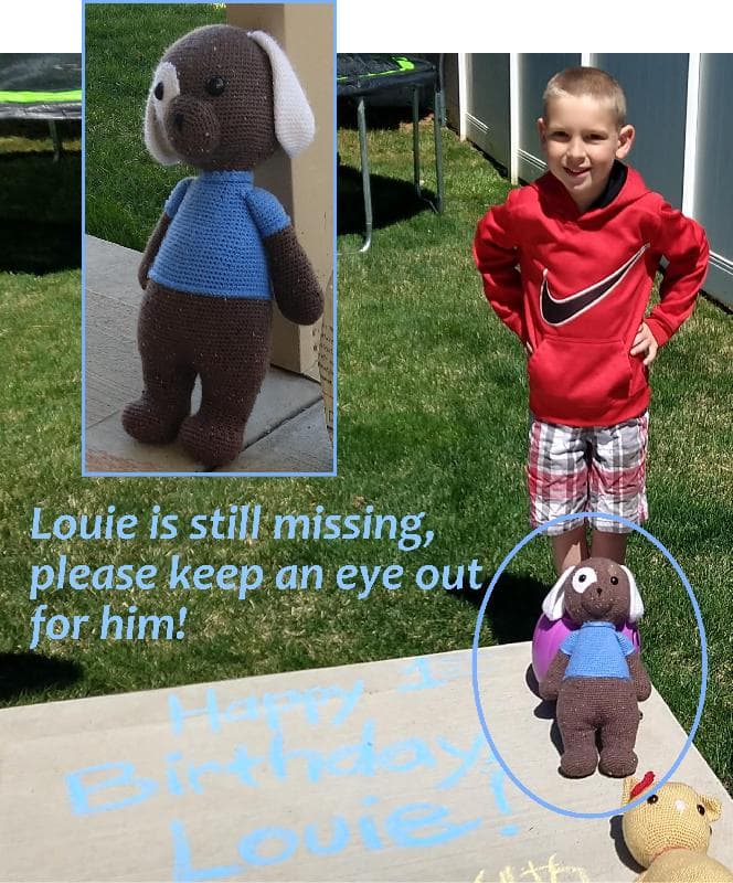 Lost — Weber or David county Utah