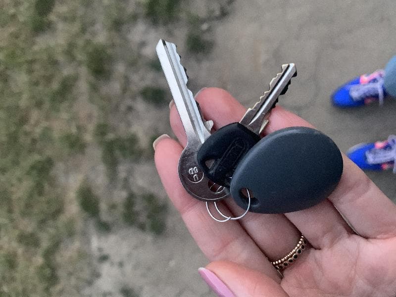 Found — Hampstead Heath
