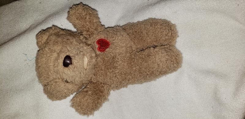 Found — 1101 LEE RD ORLANDO Florida