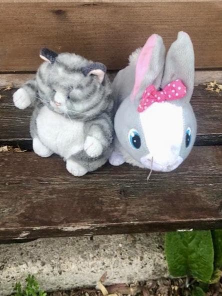 Found — Strumpshaw