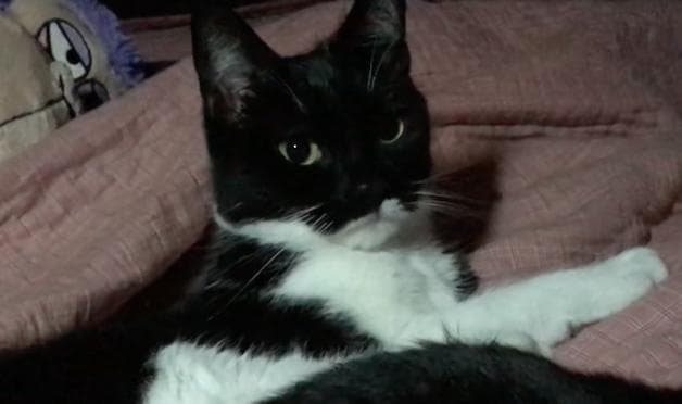 Lost — Grange Avenue Southport