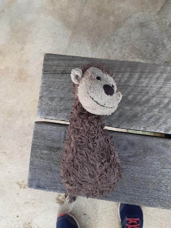 Found — Worrigee NSW