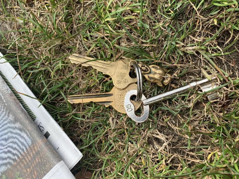 Found — Tooting Bec Common