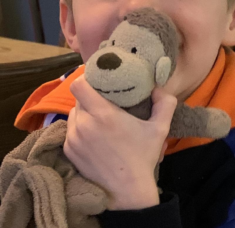 Lost — Rosebery Park, Epsom