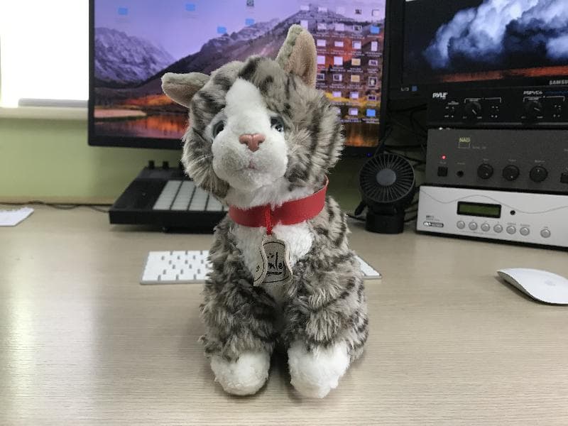 Found — Ipswich