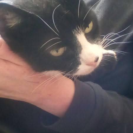 Lost — Stevenage