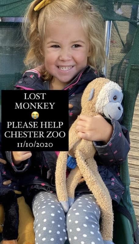 Lost — Chester zoo