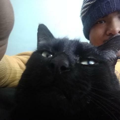 Lost — Solihull knowle B930nh 108stjohnsclose