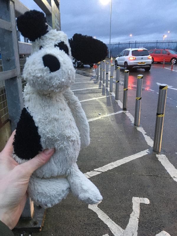 Lost — Sainsbury’s Straiton Edinburgh/Midlothian