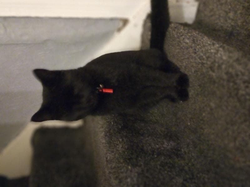 Lost — BD3 Undercliffe lane