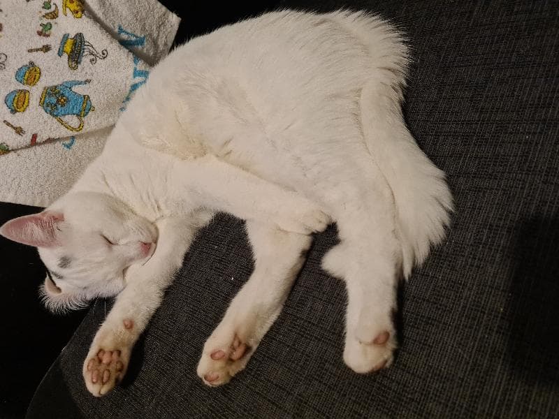 Lost — KEW ROAD SOUTHPORT