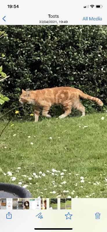 Found — Pilson Close, The Bromford, Birmingham