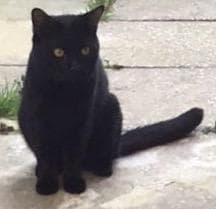 Found — IG1 3QT-mornington avenue