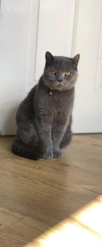 Lost — Wrose rd Bd2 1ps