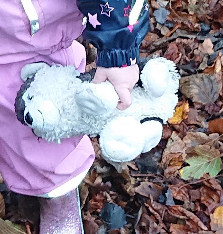 Lost — Exeter uk