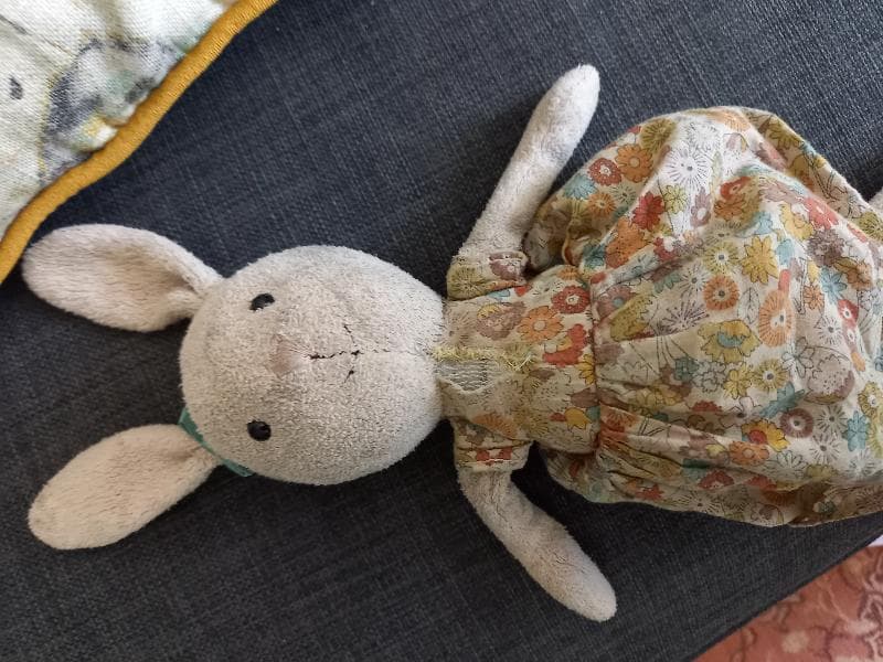 Lost — Waveney river centre
