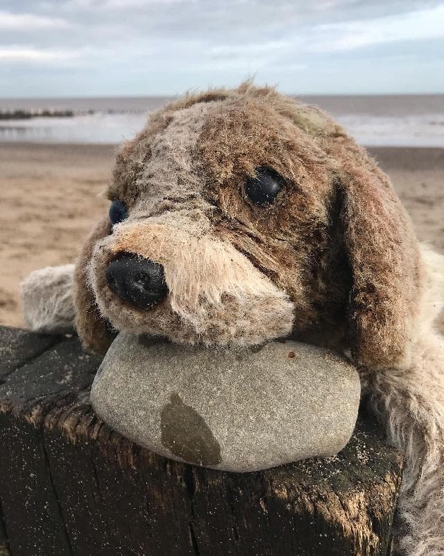 Found — Mappleton beach, East Riding of Yorkshire