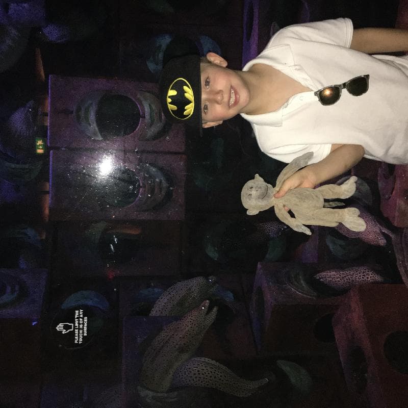 Lost — Dubai