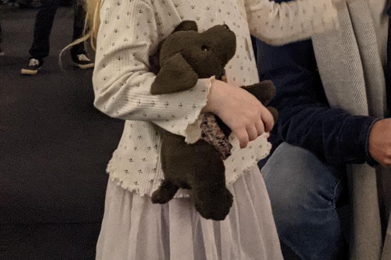 Lost — Lordship lane East Dulwich