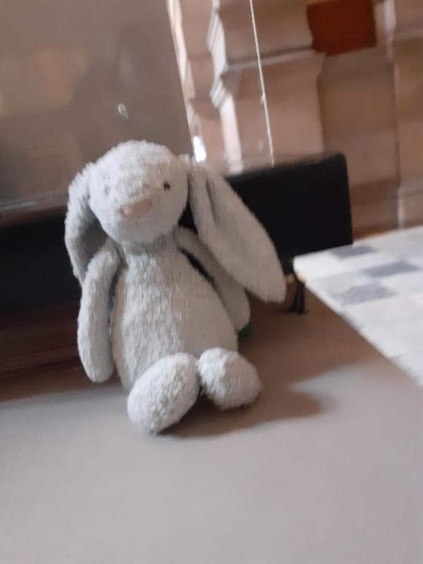 Found — Kelvingrove Art Gallery and Museum, Glasgow