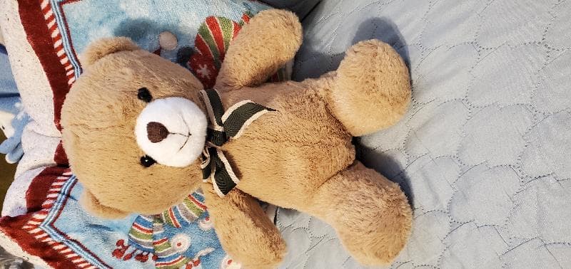 Found — Across from Burncoat Elementary School, Worcester MA