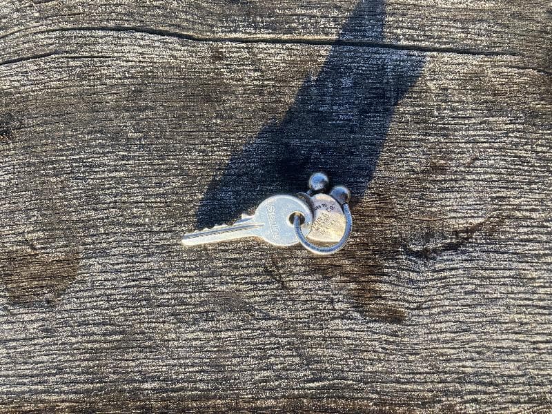 Found — Regents park
