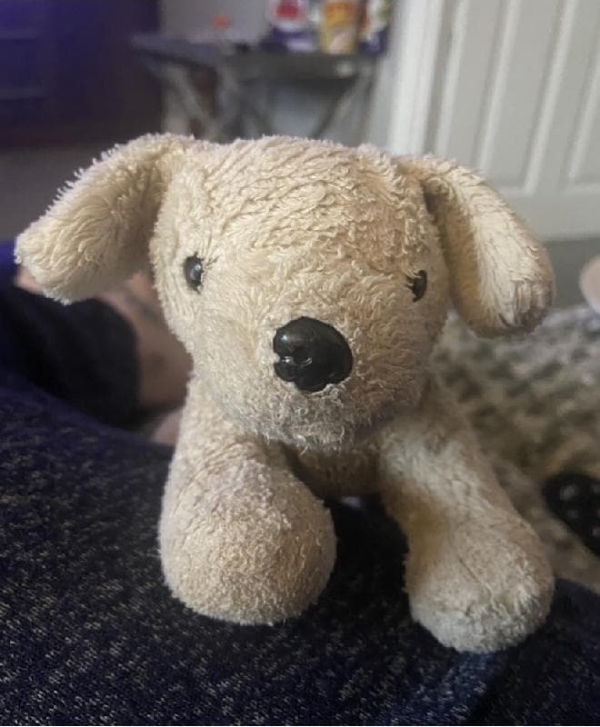Lost — Blackpool south