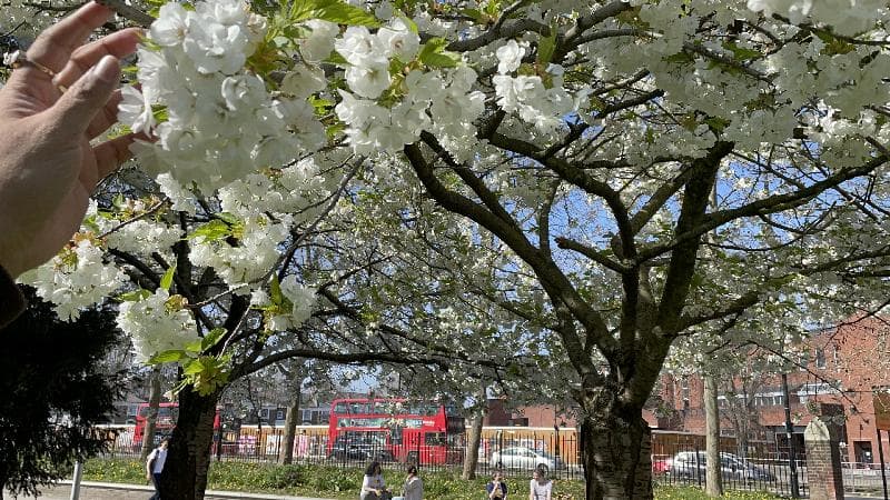 Lost — Hammersmith