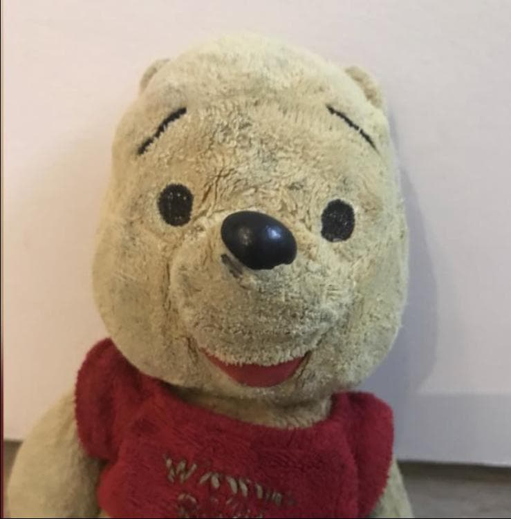 Lost — Gloucester Road, Brighton