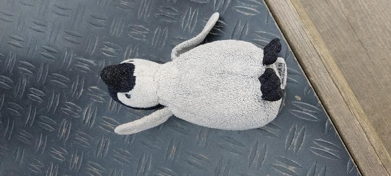 Found — Pole Hill Park, Petworth Gardens, UB10
