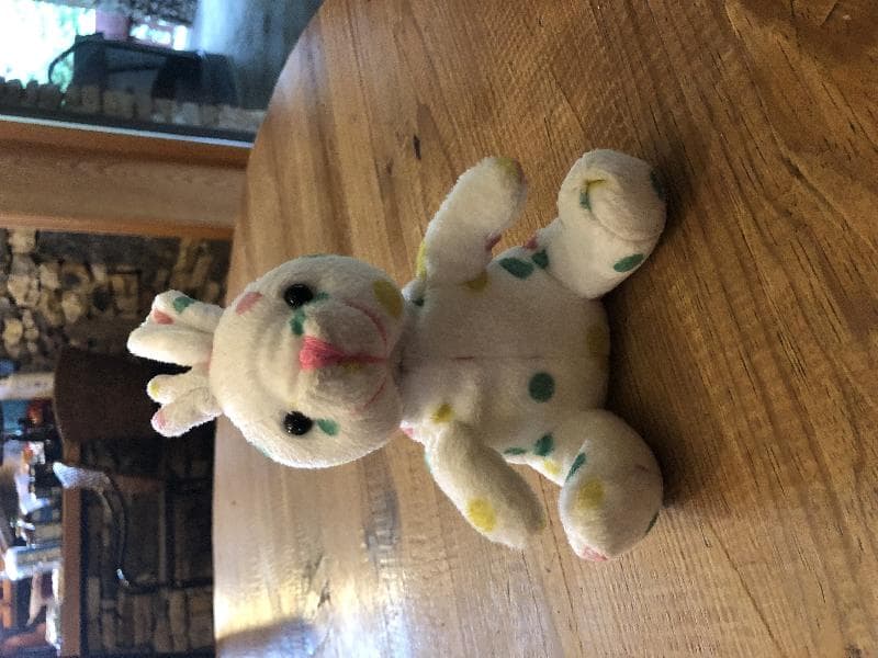 Found — Jeff Barr Trail in Champion PA
